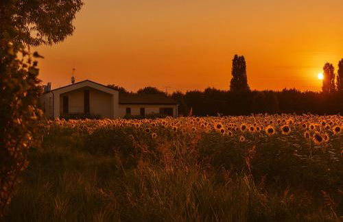 Domus Natura - Photo 63