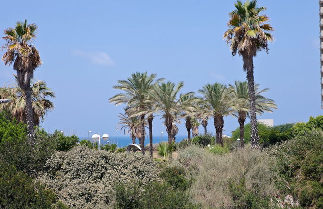 Liber Apartments - Foto 56