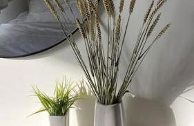 Manolis House - Foto 21