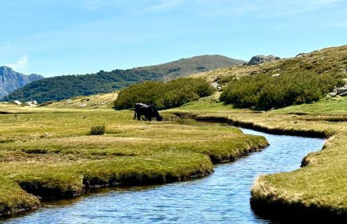 Très belle villa avec piscine chauffée CASALEONI - Foto 33