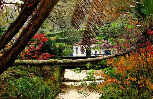 Casa da Tia Luísa - Foto 43