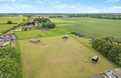 Muntjac - Uk47396 - Foto 21