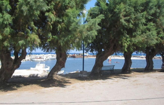 Arch Villa - Foto 36