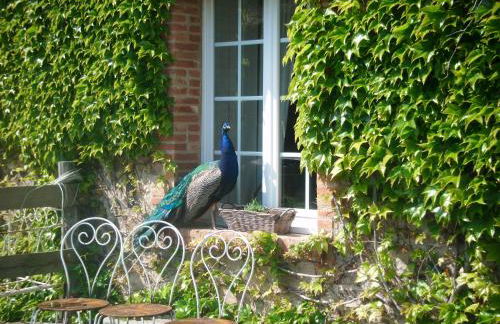 Gites De L'Etang Des Noues - Photo 20