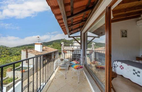 Horta Do Zé Miguel - Foto 47