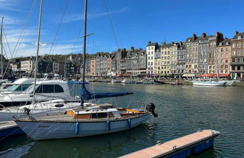 Clos des hortensias - Foto 16