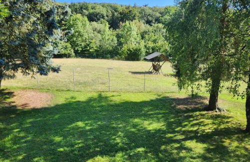 Winzerhof Düring - Foto 33