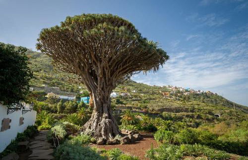 Precioso Apto Caleta Interian Beach By Paramount Holidays - Foto 56