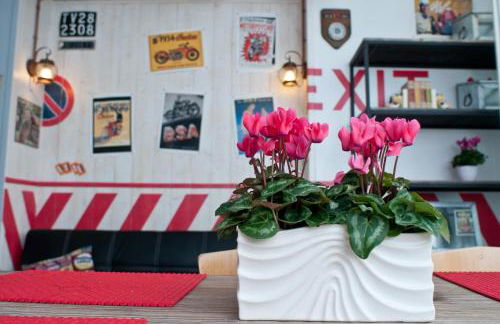 Tami Holidays - Photo 14