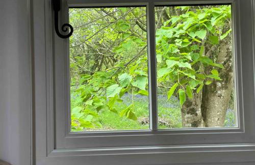 Cornwall Woodland Shepherd's Hut with Hot Tub - Deirdres Hut - Foto 36