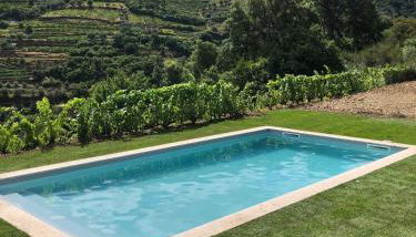 Quinta do Enxertado - Foto 4