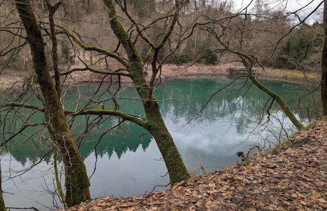 Ebenerdige Wohnung mit Terrasse in Winterberg - Foto 30