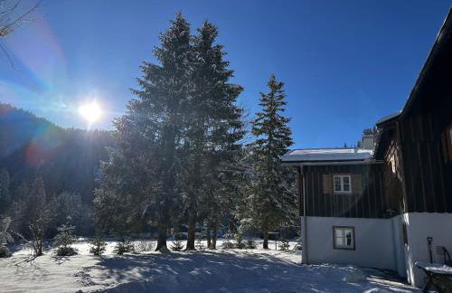 Mitteralm-Kreuth - Foto 1