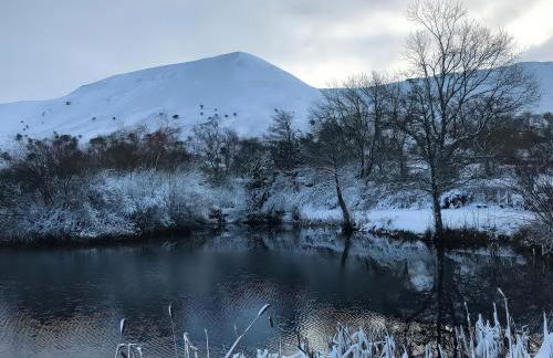 Maggie's Barn - Foto 22