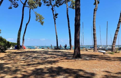 Cap Ferret - Villa Sérénité - piscine, proche Océan et Bassin, classée 4 étoiles Meublé de tourisme - Foto 29