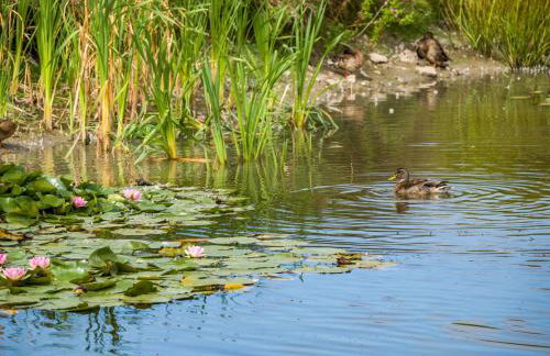 Number 8 Lakes View - Foto 33