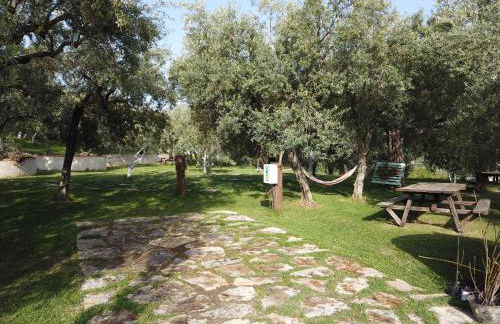 Il Mandorlo - Foto 13