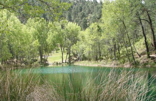 La Encina B - Foto 13