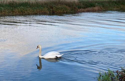 The Old Cheese Press, Eckington - Foto 32