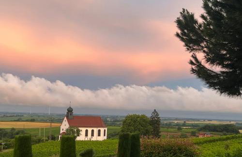 Atelier de Pfalz-Loftstyl mit Pfalzblick - Foto 48