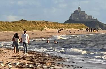 La glycine baie du Mont St Michel - Foto 7