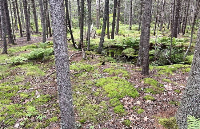 Close Call - Photo 21