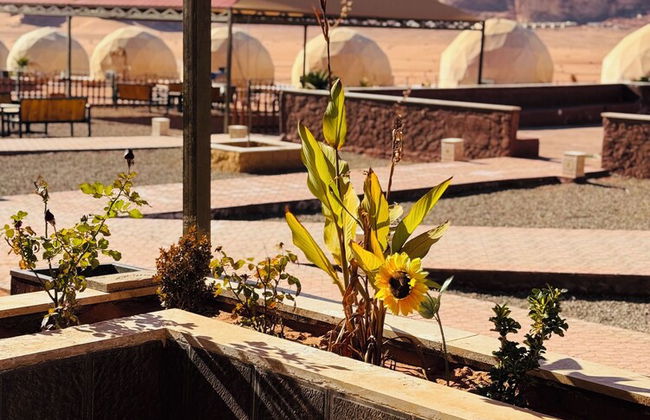 Rum moonlight luxury camp - Foto 24