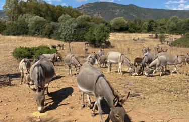 Casa Depau 2 - Foto 13