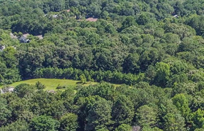 Double Dawg 1 - Foto 26