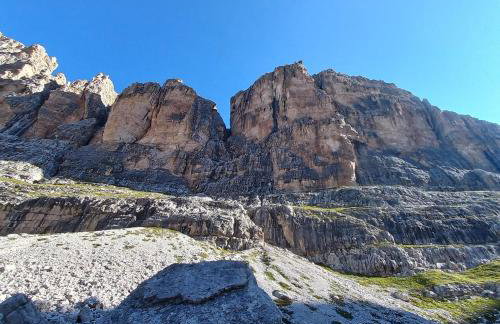 Appartamento Pian dei Mughi Marilleva 1400 - Foto 4