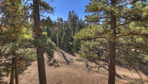 Everwood Serenity Treehouse on Sledding Hill - Foto 5
