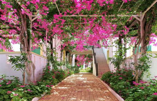 Paul Marie - Photo 15