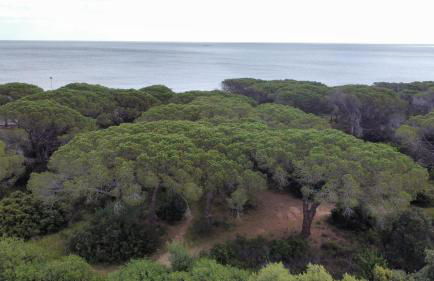 Le Pavoncelle - Foto 33