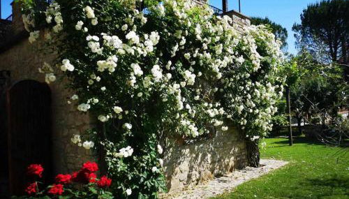 Casale dei Puppi, una bellissima casa rustica - Foto 2