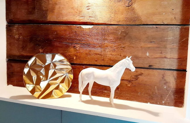 Spectacular Swiss Experience - Foto 38