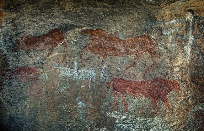 Ganora Guestfarm & Excursions - Foto 50