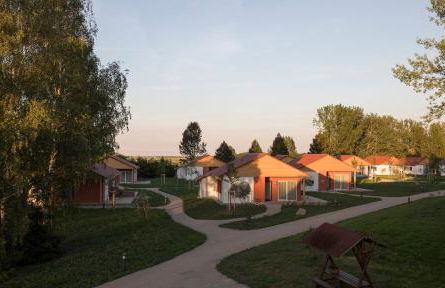 WaldResort - Am Nationalpark Hainich - Foto 67