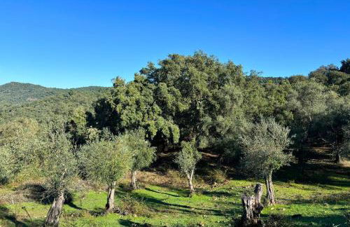 El Castañero Only Adults - Foto 40