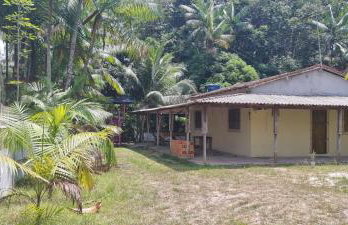 Sitio na floresta px a Belém - Photo 7