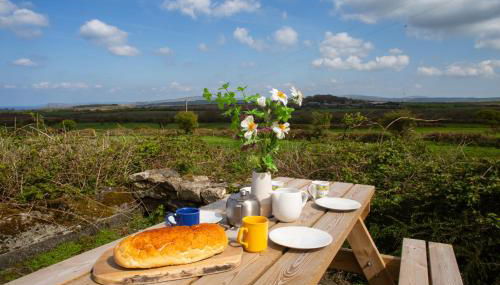 Cnwc Y Bran Fishguard - Photo 2, Garden