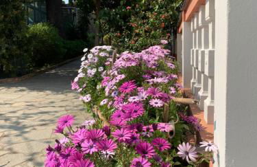 Resort Villa Rosa Maria - Foto 2