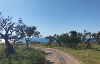 Villa Marghe Mazzaforno Sicilia - Foto 8