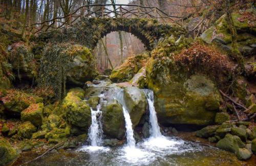 Eschfeld Sauna Apartment - Foto 66