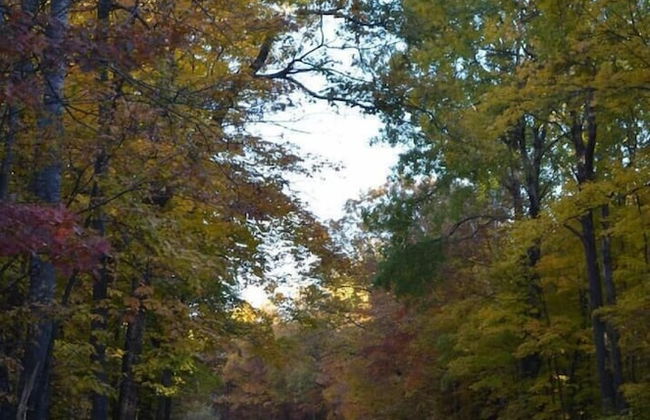 Seven Oaks - Foto 36