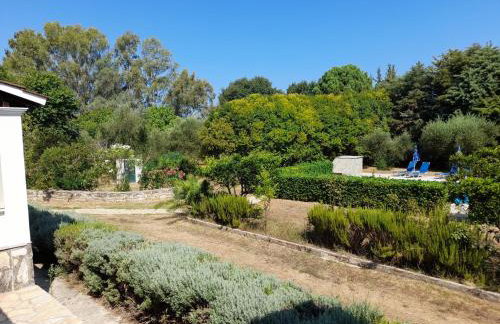 Lemontree Apartments - Foto 40