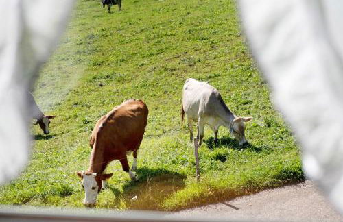 Willmannshof - Foto 28