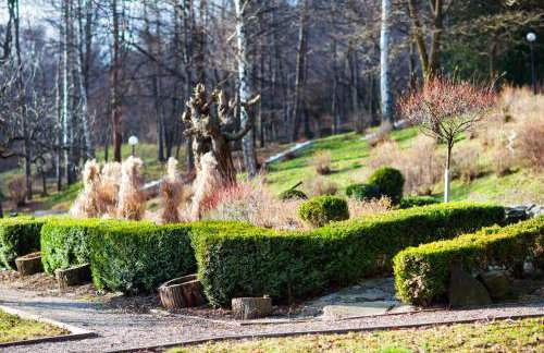 Apartamenty Bystra - Foto 9