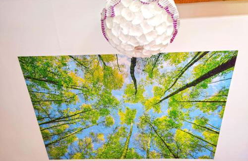 Käsküche Bernbeuren anno 1890 - Foto 22