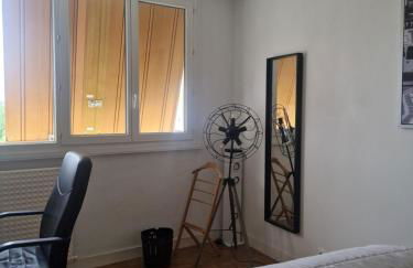 T4/5 avec vue sur les Alpes à 5 minutes de Lyon - Foto 12