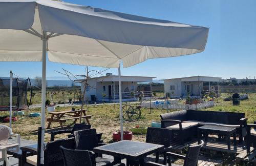 Agroktima Arta - Farm Stay - Foto 22